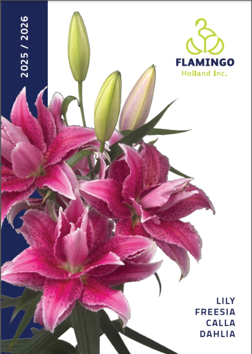 Flamingo Holland Catalog 2025-2026