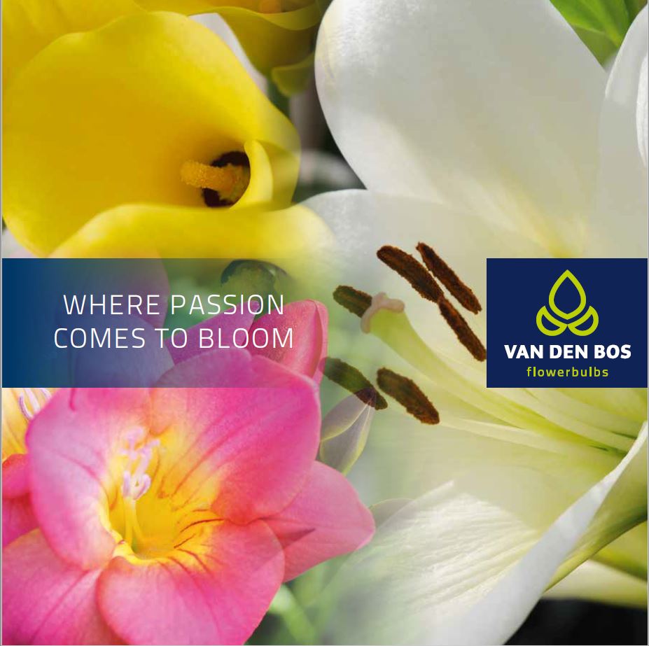 Van den Bos Catalogue