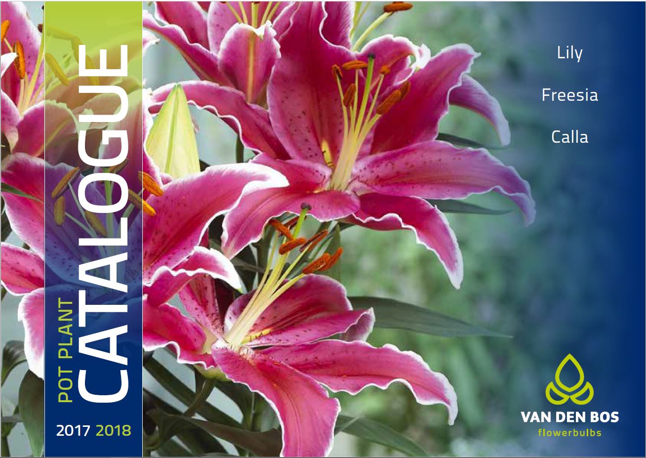 Van den Bos Pot Plant Catalogue