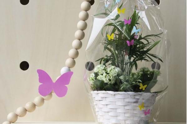 Potted Plant Packaging