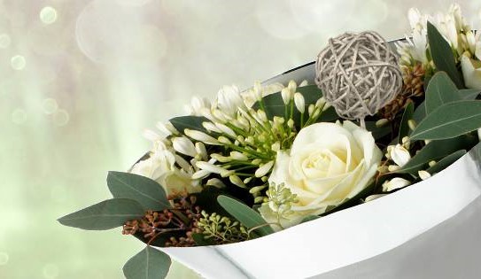 Horticultural Supplies