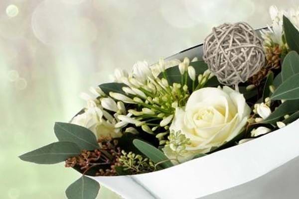 Horticultural Supplies