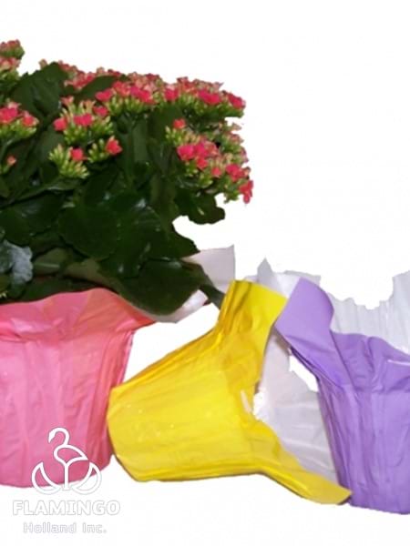 Pot Covers
