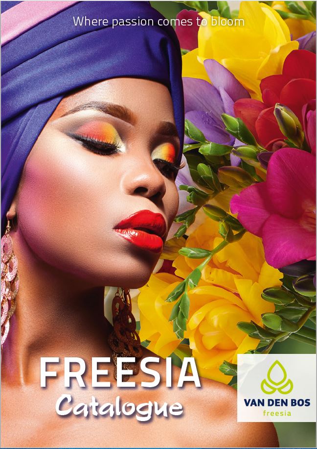 Van den Bos Freesia Catalogue