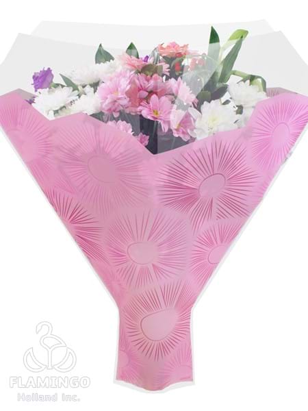 Cleome